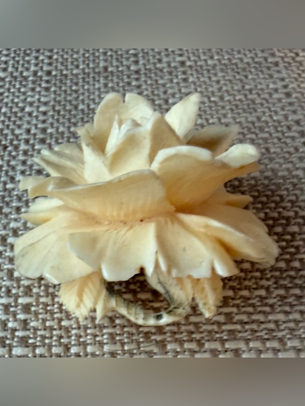 Carved Cream Rose Celluloid Very Vintage Brooch - Picture 5 of 14
